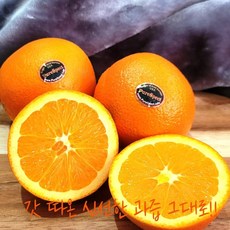 카라카라 오렌지 블랙라벨 네이블 카라카라 캘리포니아생산 세계최고 생산지, 1박스, 113과 중소과(150g내외)-30입