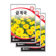 겹삼잎국화종근