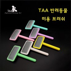 taa슬리커