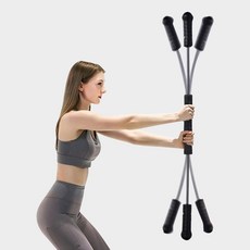 몬스터플렉시바