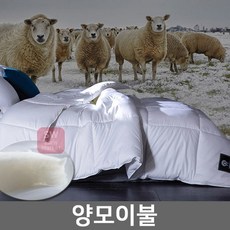 천연양모이불