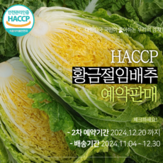 HACCP인증 해남 황금배추 국내유일 라이코펜 함유 황금절임배추