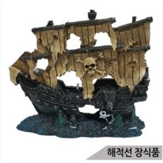 관상새우