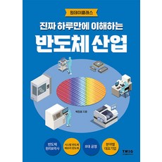 진짜 하루만에 이해하는 반도체 산업 - 챗 GPT 시대 기회는 반도체 산업에 있습니다, 티더블유아이지