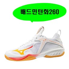 미즈노웨이브클로네오