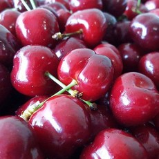 psk항공직송킹체리