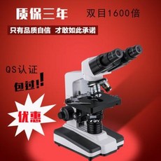 주사전자현미경