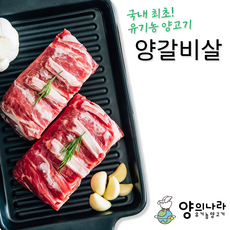 (익일도착) 유기농양고기 갈비살 500g 쯔란증정 호주산, 1개
