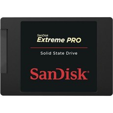 샌디스크 Extreme PRO 시리즈 솔리드 스테이트 드라이브 SDSSDXPS 480G G252.5 SATA Revision 3.0 6Gbs 480GB 스토리지, 480GB_Drive Only