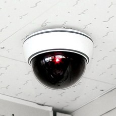 [1+1] 펜테코스트 모형 CCTV 8종, [1+1] 03.고급형 돔카메라 / 화이트