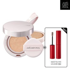 정샘물스킨세팅톤업선쿠션