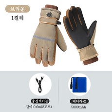 Aiiyya 발열 장갑 세트 오토바이 자전거 하이 열선 충전식 방한 온열 라이딩 장갑 스키장갑 3단 온도조절, 브라운, 1개