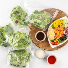 [동김제농협] 유러피안 샐러드 채소믹스 100gx5봉 / 100gx7봉+발사믹소스, 7개, 100g