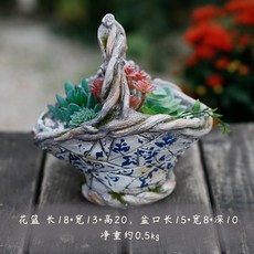 다육이 식물 화분 분당 화자기 가든 베란다, AB_에