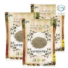 푸른들판 국산 검정 찰보리쌀 1.5kgx3 검은보리 흑보리 블랙보리, 3개