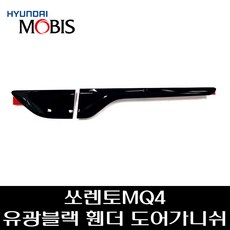 슈퍼비도어가니쉬