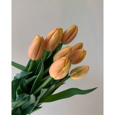 2e7a0f6a15f6868882f97790b53a043f52fbdddfe5531e92acec4f1b97db.JPG