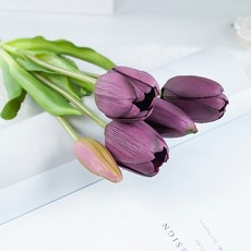 가렌꽃