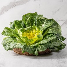 [푸드빌리지] 싱싱한 봄동, 1박스, 2kg