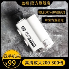 100배현미경