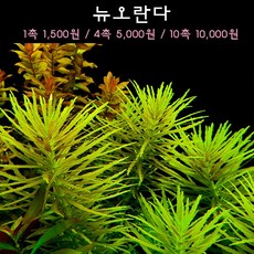 0fdbfeb999a9d4fbd4985d0f634bb6eb918eef91470cb9f356d7642443c3.jpg