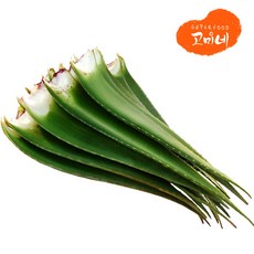 고미네 유기농 알로에베라잎 5kg 국산 식용겔, 1개