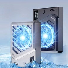 카메라 방열방지 쿨링팬 냉각기 온도조절 발열 무소음, 2. CA25 실버 카메라 라디에이터, 1개