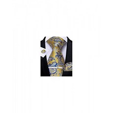 DiBanGu Paisley Tie and Pocket Square Men's Woven Necktie Silk Handkerchief and