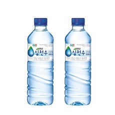심천수
