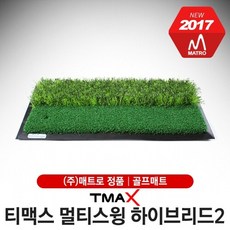 하이브리드스윙2