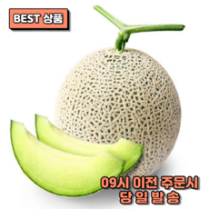 프리미엄 로얄 머스크 메론 추석 선물 세트, 고급 실속 메론 선물세트 2구, 1개