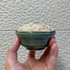 라씨에뜨온반밥그릇