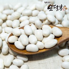 힘찬농부 수입 흰강낭콩 네이비빈, 1개