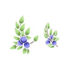 과일스텐실