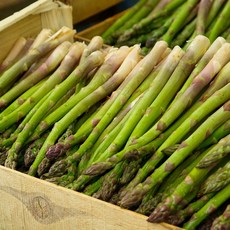 양평농부아스파라거스