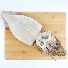 맛있는건 동해안 반건조 오징어 10마리 왕특사이즈, 반건조오징어 특사이즈 1.3kg이상, 10개
