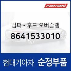 범퍼-후드(본네트) 오버슬램 (8641533010) 현대모비스 부품몰 쏘나타, 1개