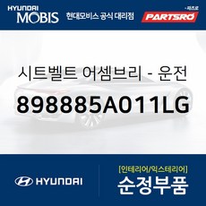 5점식안전벨트