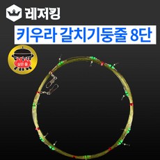 아미고기둥줄