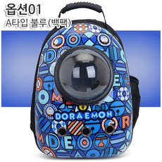 반려동물 백팩 캐리어 반려동물용 백팩, A타입 불루(백팩)
