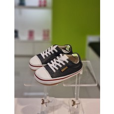 팁토이조이펑키타피오카