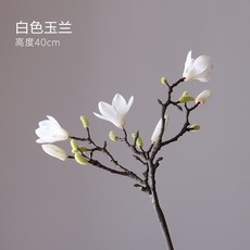 1000e7eaa49eeaed5f1607786f7acd039b2ed371aadca2c9d9f07d6b7a73.jpg