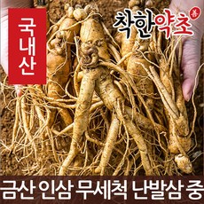 착한약초 금산 인삼 50종 수삼 삼계용 인삼주키트 선물세트, 1개, 1I8V_금산 인삼 무세척 난발삼 중 750g