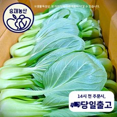< 승 재 농 산 > 국내산 청경채 특품 4kg내외 1박스, 1박스(4kg내외), 1개