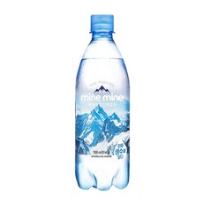 동원 미네마인 스파클링 (500ml 공주