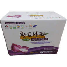 황토나라 자색양파즙, 100ml, 480개