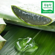 무농약 알로에 베라 3kg(혼합) 3kg 1개