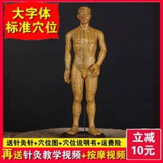 해외 침구혈 위치 인체모형 교수 전신 십이경락도 소피인 실리콘 침, 옵션11