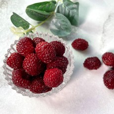 국내산 고당도 새콤달콤 급냉 산딸기 GAP 산지직송 500g 1kg 2kg, (급냉) 산딸기 500g, 1개