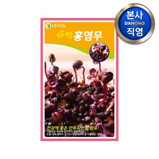 새싹 홍염무 씨앗 1kg.친환경 무농약 무소독 무순 무싹 채소 수경 재배 씨 종자, 1개